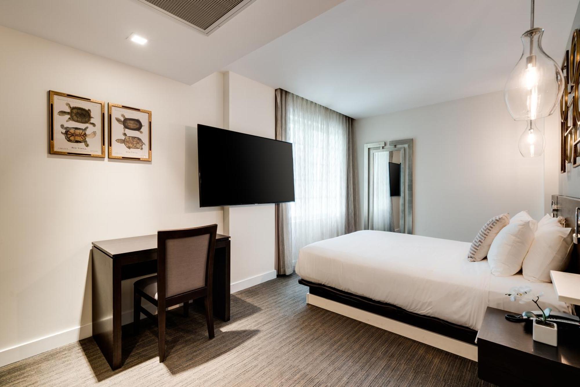 Iberostar Berkeley Shore Hotel Miami Beach Rom bilde
